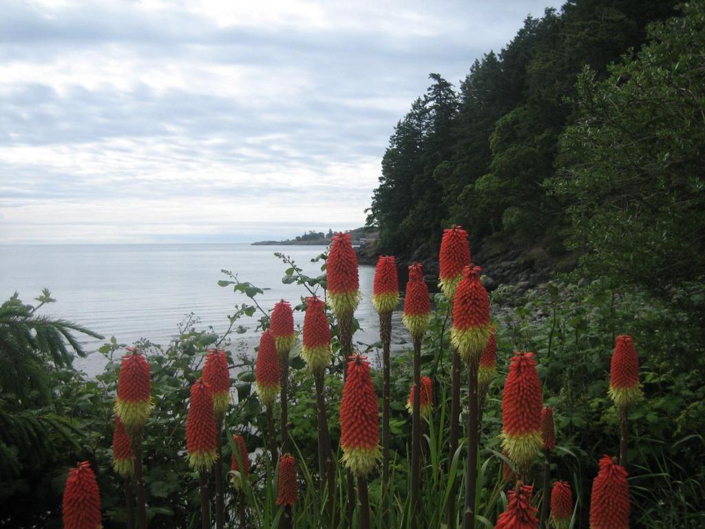 The Lodge At Weir'S Beach Metchosin Екстер'єр фото