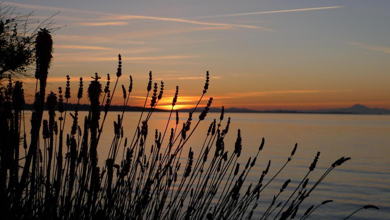 The Lodge At Weir'S Beach Metchosin Екстер'єр фото